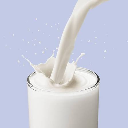 Milk